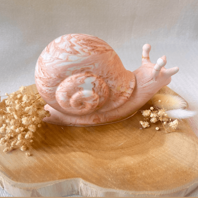  Hugo – L’escargot rêveur